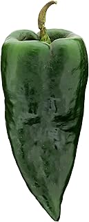 Fresh Poblano Peppers, 2 Pounds, Large Green Chili Peppers for Mexican C...