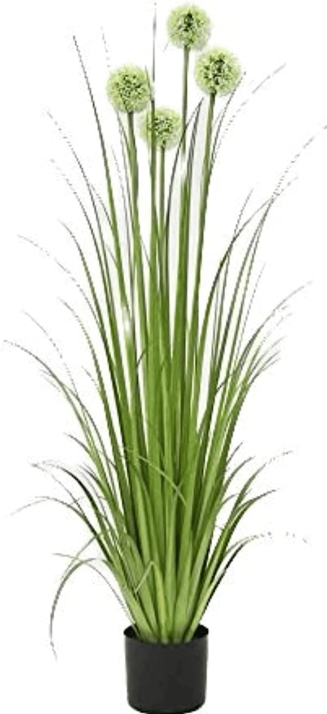 Garden ArtImported Modern Unique Natural Looking Artificial Allium Grass Plant (48inches) with Four White Flowers and Plastic Trendy Pot for Home, Office, Living Room, Party (GA5015)