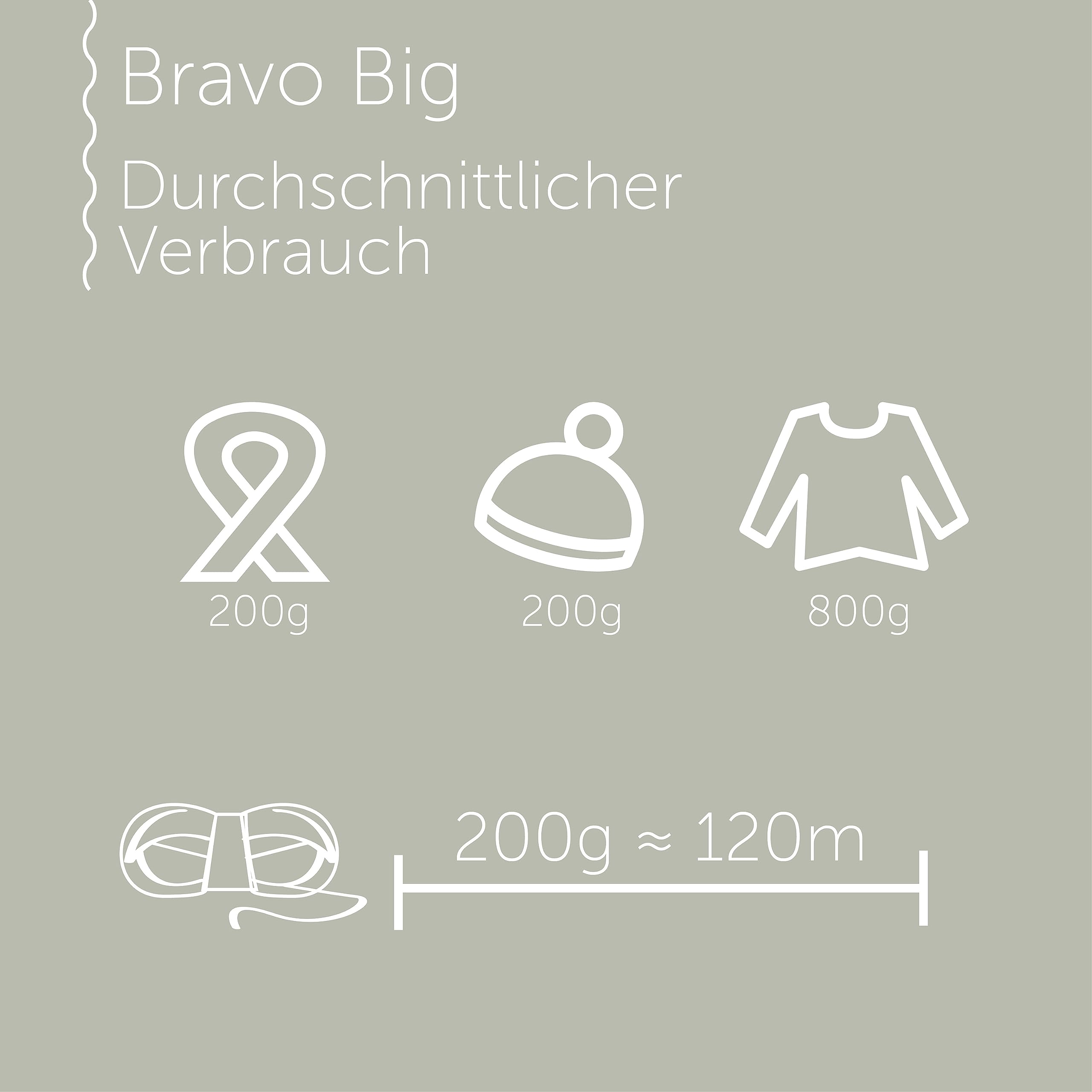 Schachenmayr Bravo Big, hand knitting yarn, 9807705, wool, terra di siena, 23 x 8.1999999999999993 x 10 cm - Image 4