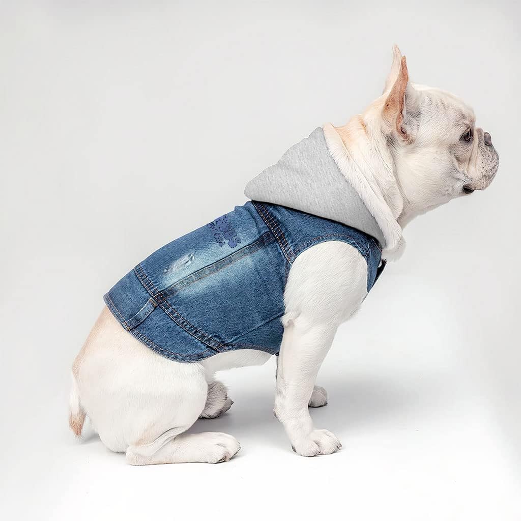 Instafamous Dog Denim Jacket - Freaking Fabulous - Quote Design - XL