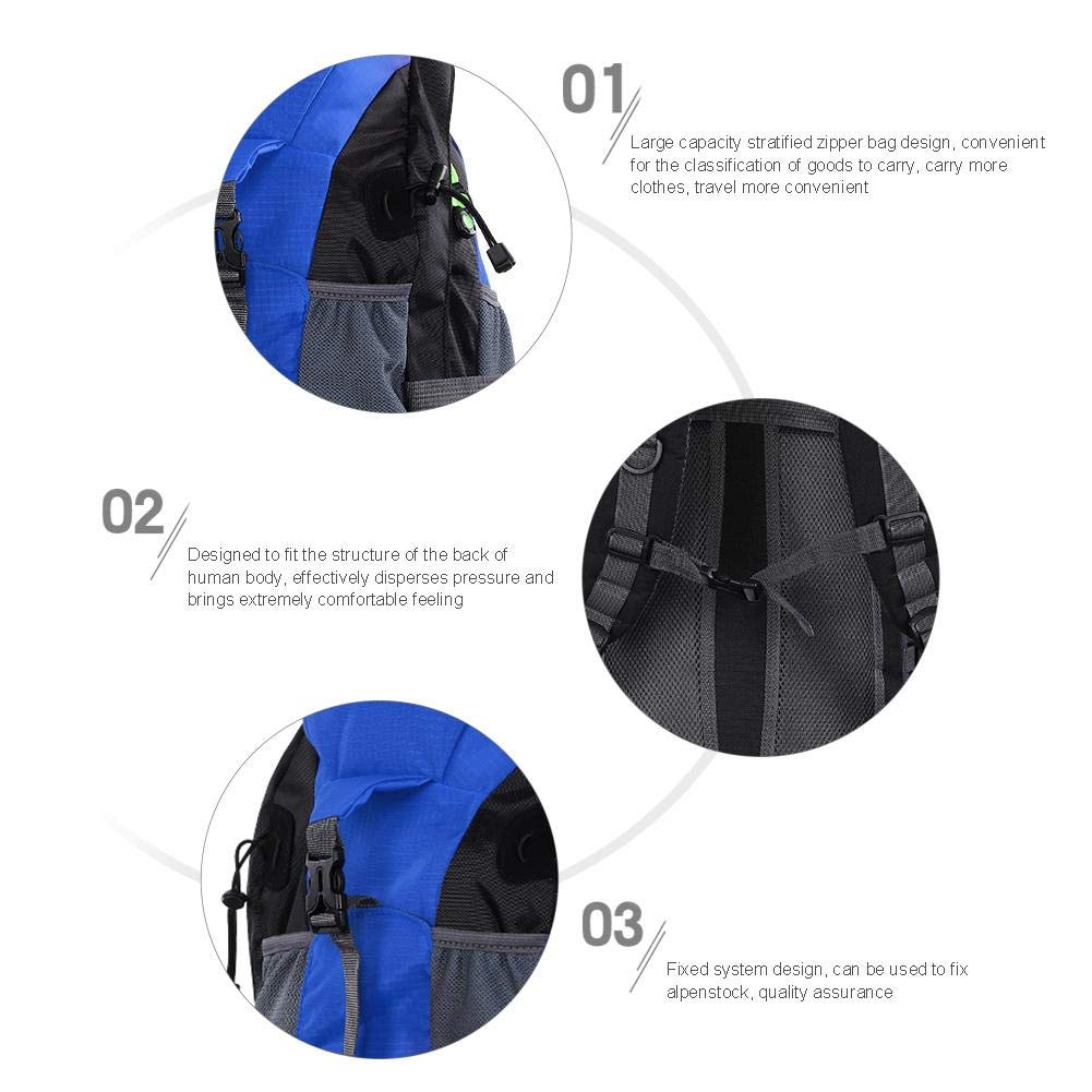 Alomejor Plecak turystyczny, 50 l, duży plecak turystyczny, outdoorowy, podróżny, wspinaczka górska, plecak kempingowy, dla mężczyzn i kobiet (56 x 36 x 23 cm, niebieski), niebieski