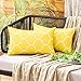 MIULEE Copricuscini 2 Pezzi Federe Esterno per Soggiorno Moderno ed Elegante e Moderna Sala Interna ed Camera da Letto Fodere Cuscini Salotto Divano Giardino Balcone 30X50 CM Giallo