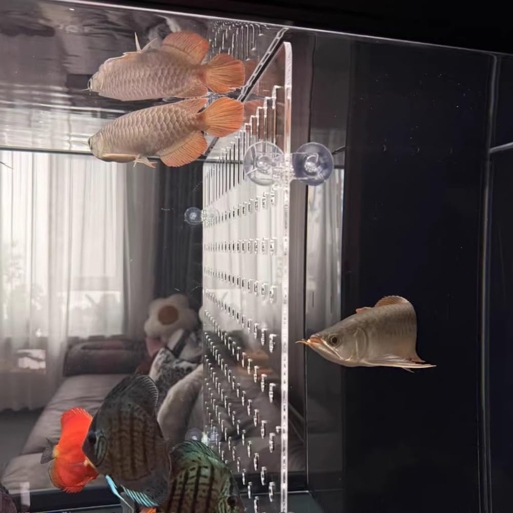Rygcrud Séparateurs pour Aquariums Panneau en Acrylique De 5 Mm D'épaisseur avec Ventouses, Séparateur De Poissons pour Éviter Les Bagarres, pour Diviser l'espace(37x65cm)