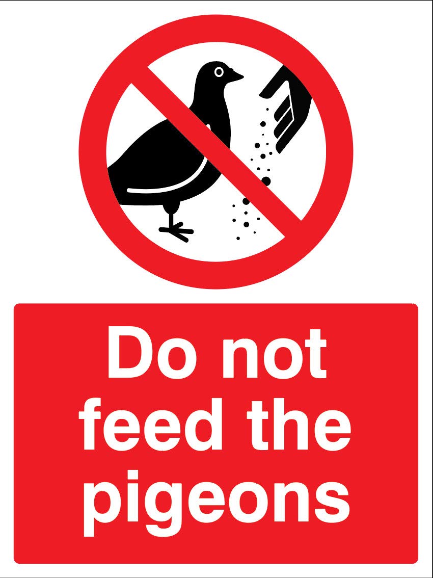 Caledonia Signs Do not feed the pigeons Self Adhesive Vinyl Sign