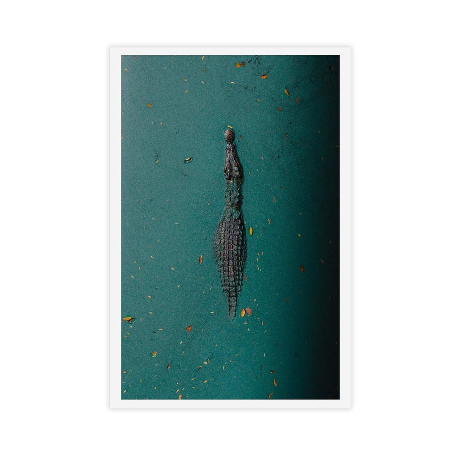 Heyanm Broome Crocodile Art Print Western Australia Wildlife Canvas Poster Bedroom Office Room Decor Gift Unframe 20X30inch