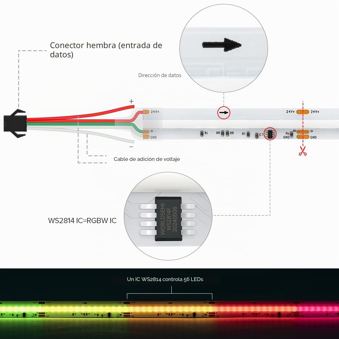 SEZO Cinta LED COB WS2814 RGBW IC FCOB 5M 896LEDs/m Tira luminosa de alta densidad DC24V 10mm RGB+WW(blanco cálido) Cinta luminosa IP30 no impermeable para proyectos de bricolaje