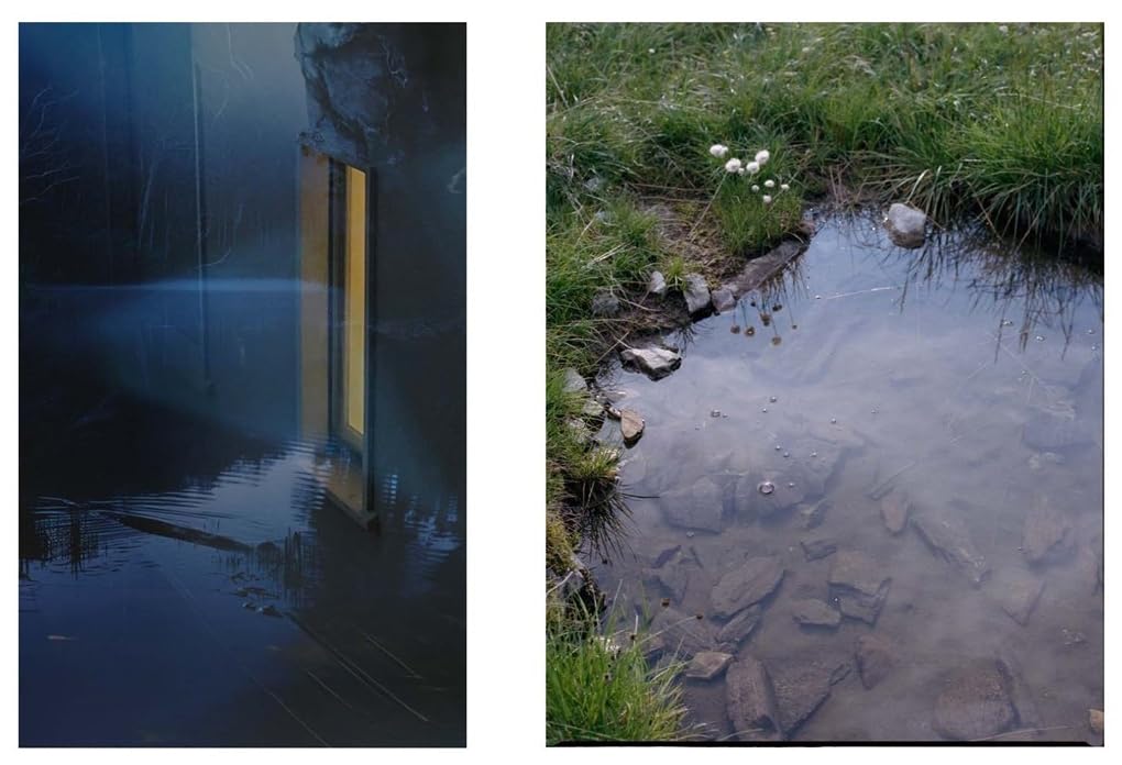 DELUS. Journal for Landscape and Urban Studies: Issue 1