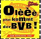 Olèèè jetzt kommt der BVB - wie NEU !