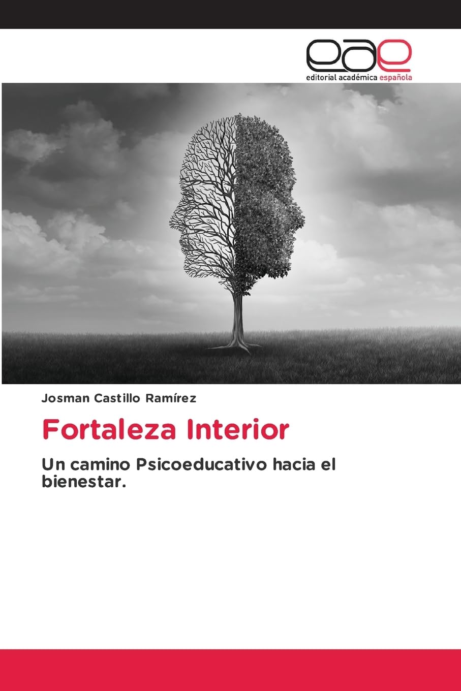 Fortaleza Interior: Un camino Psicoeducativo hacia el bienestar.