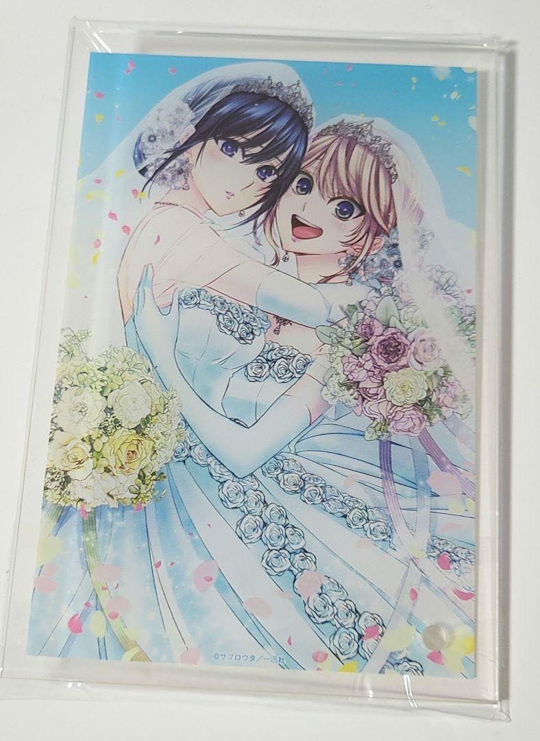 citrus 展　シトラス　藍原柚子　藍原芽依　アクリル パネル　スタンド citrus 展 シトラス 藍原柚子 藍原芽依 アクリル パネル