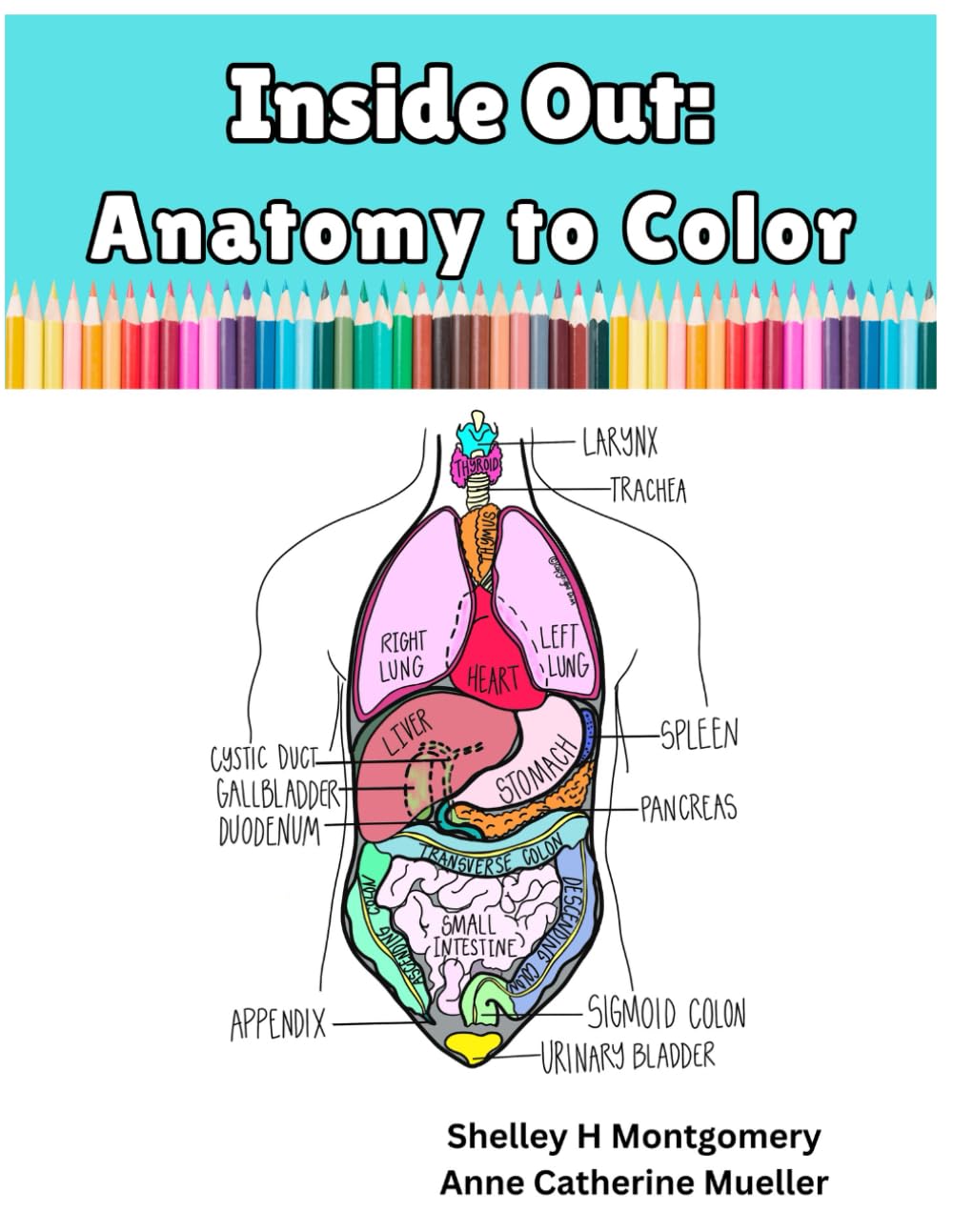 Inside Out: Anatomy to Color