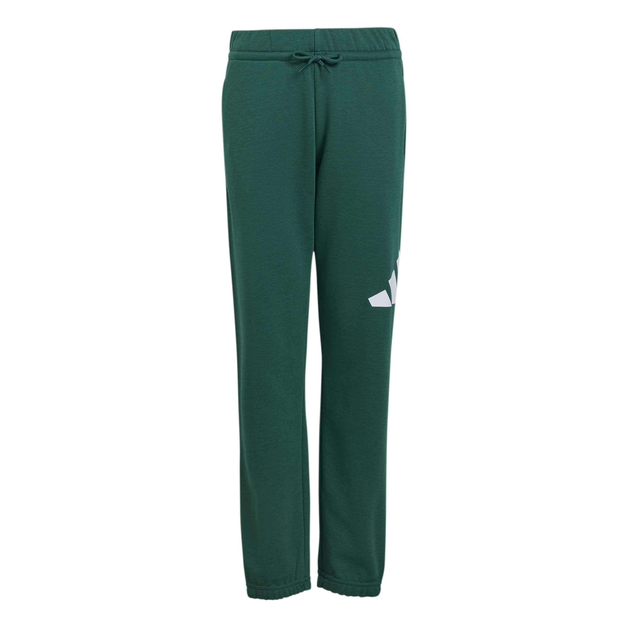 adidas Uniseks - dzieci Essentials Big Logo Pants, collegiate green/white, 9-10 Years