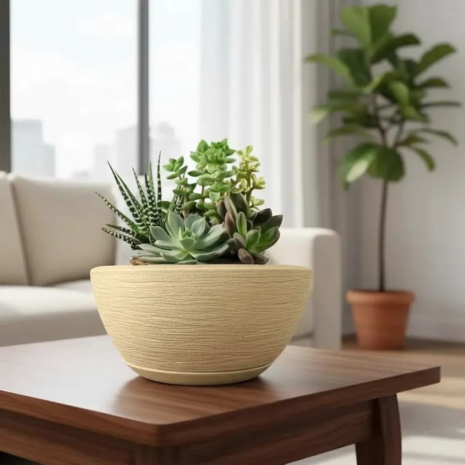 Vaso Decorativo Bacia Escovada 13x26 Plantas Rosa Do Deserto, Cactos, Suculentas Jardim Varanda Casa Sala Polietileno (Bege)