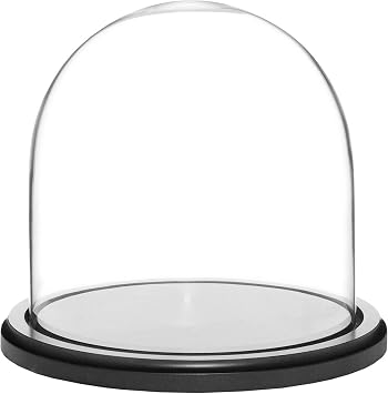 Plymor 8 "x 8" قبة عرض زجاجية Cloche Black MDF Wood Base