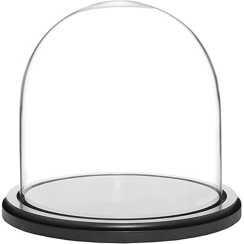 Plymor 8" x 8" Glass Display Dome Cloche (Black MDF Wood Base)
