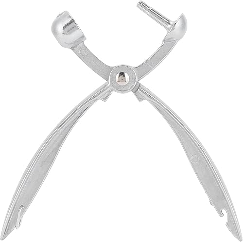 Seed Pitter Tool, Practical Aluminum Alloy Durable Fruit Corer Laborsaving for Remove Olives Cherries Red Dates for Remove Core