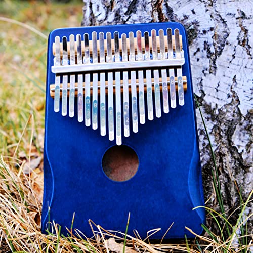 Vaguelly 2 Pcs Kalimba Thumb Piano Nota Kalimba Escala Adesivo 17 Chaves/ 21 Chaves Dedo Instrumento