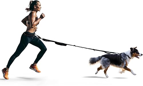 FITLY Cinturón para correr para perros, sistema de distribución de fuerza de doble punto, arnés Canicross manos en HIPS para correr, caminar,