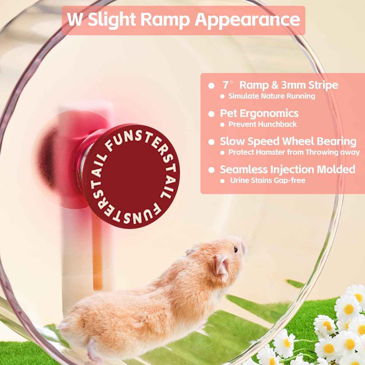 View 4