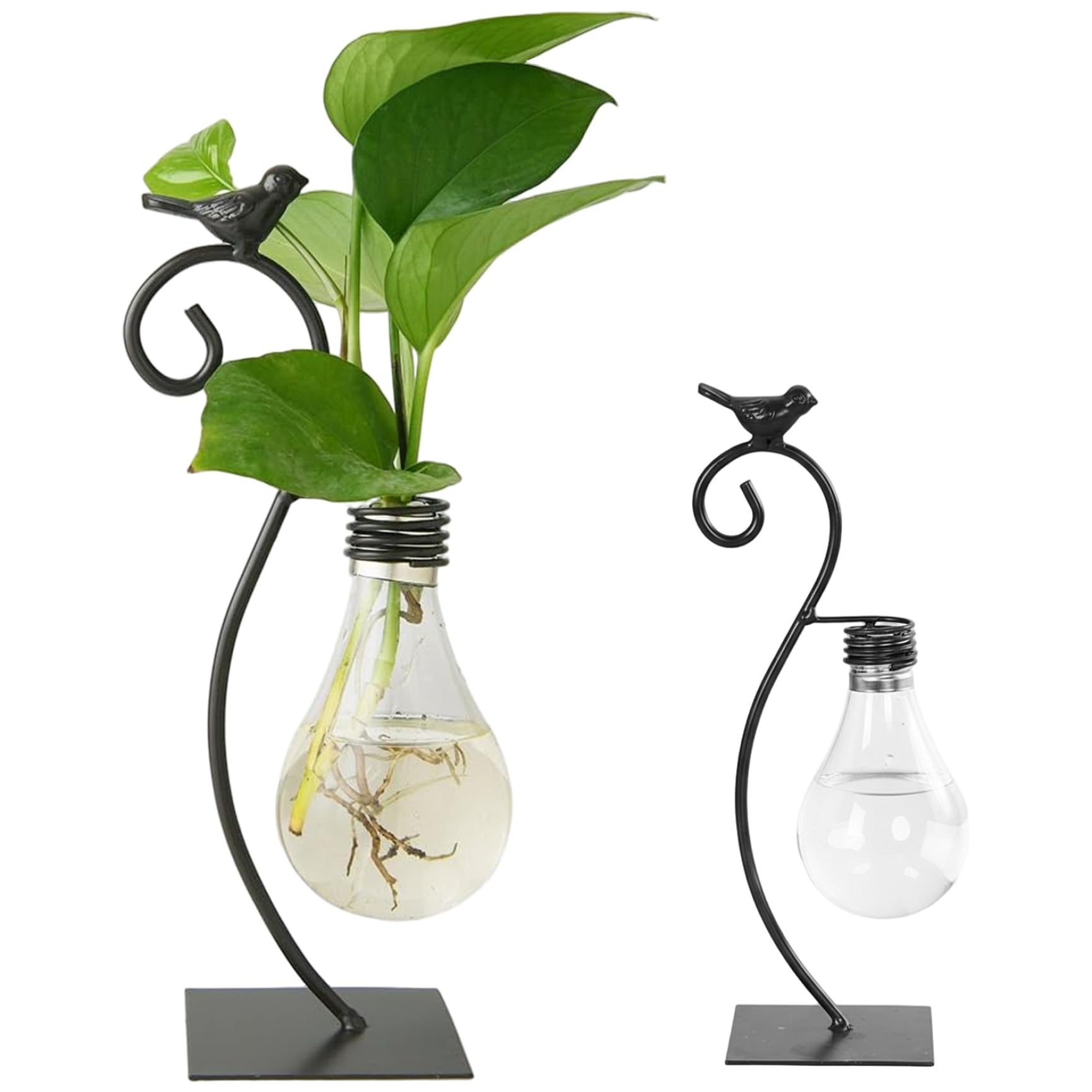Vase de propagation hydroponique et bouturage avec vase bulbe plastique rétro