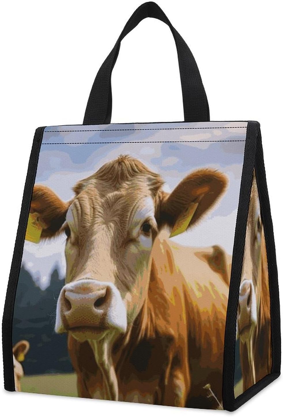 Insulated Lunch Bag for Women Men Leakproof Large Lunch Box