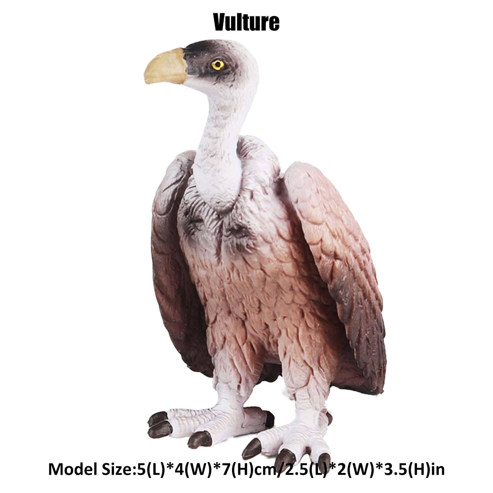 Ciclo De Vida Figuras De Animales Juguete 4 Etapas De Panda Ciencia Juguetes Educativos Estilo D