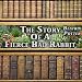 The Story of a Fierce Bad Rabbit