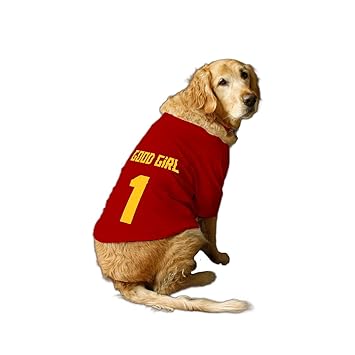 Ruse Basic Crew Neck Good Girl Jersey No.1 Printed Half Sleeves Dog T-Shirt/Apparel/Clothes/Tees Gift for Dogs.(Red) Small (Apso, Shih Tzu etc.)