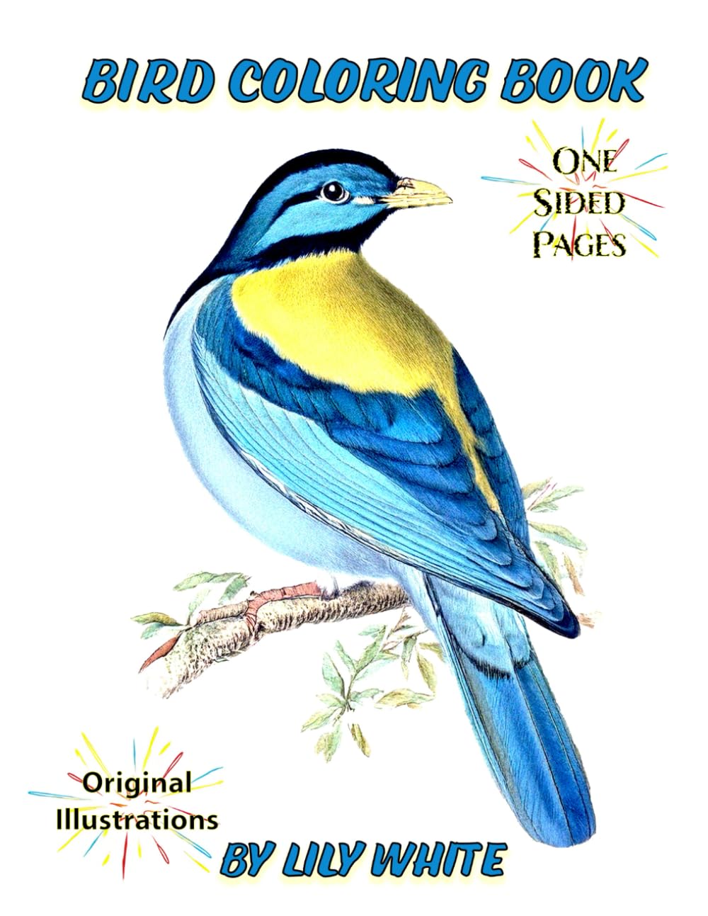 Bird Coloring Book: Fun For All Ages (Color with Lily White / Coloring books for all ages)