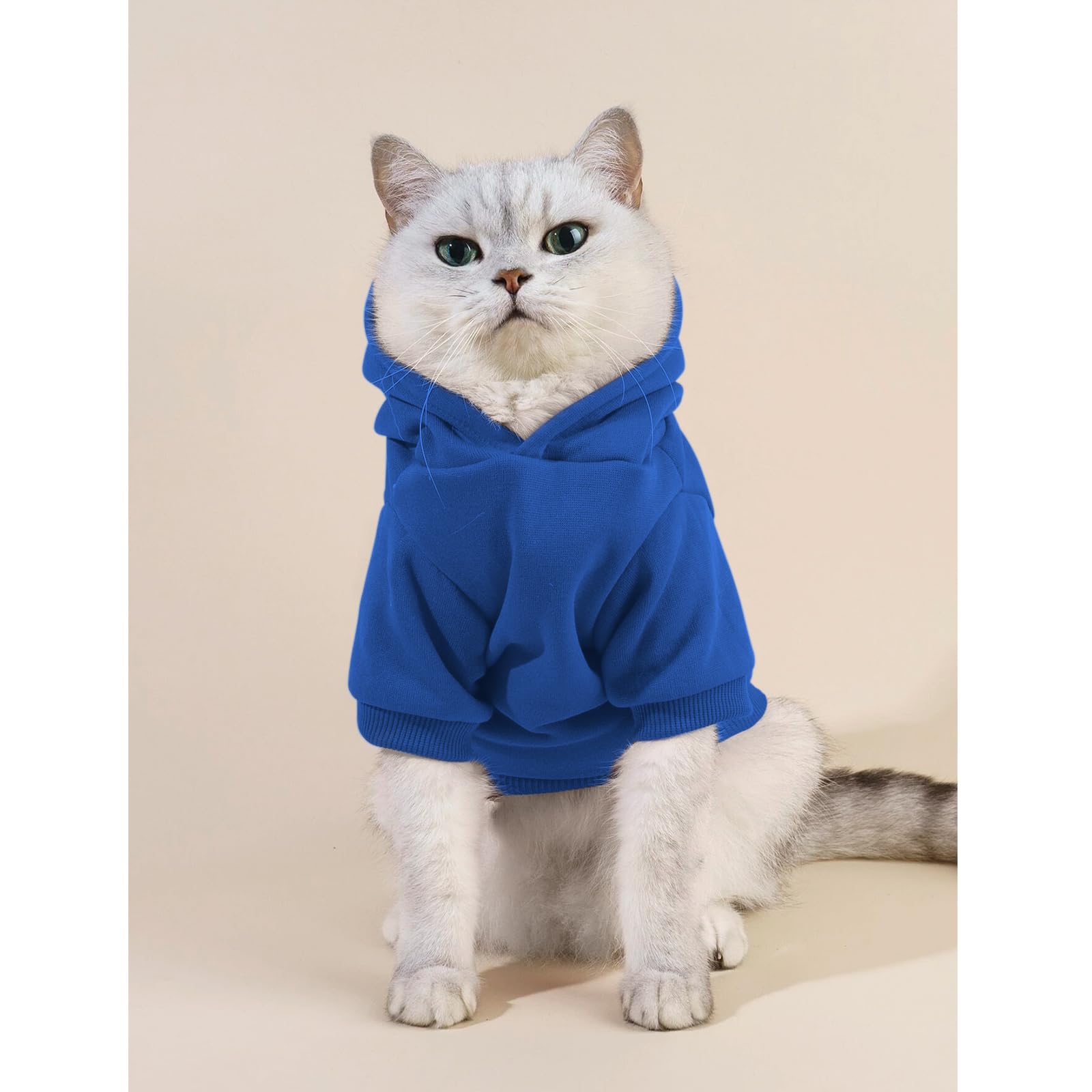 Cayxatiu Cat Hoodies for Cats Puppy Pet Clothes Cat Apparel Little Miss Attitude Print Dog Hoodie for Small Medium Dogs Outfits for Kittens(Royal Blue,2XL)