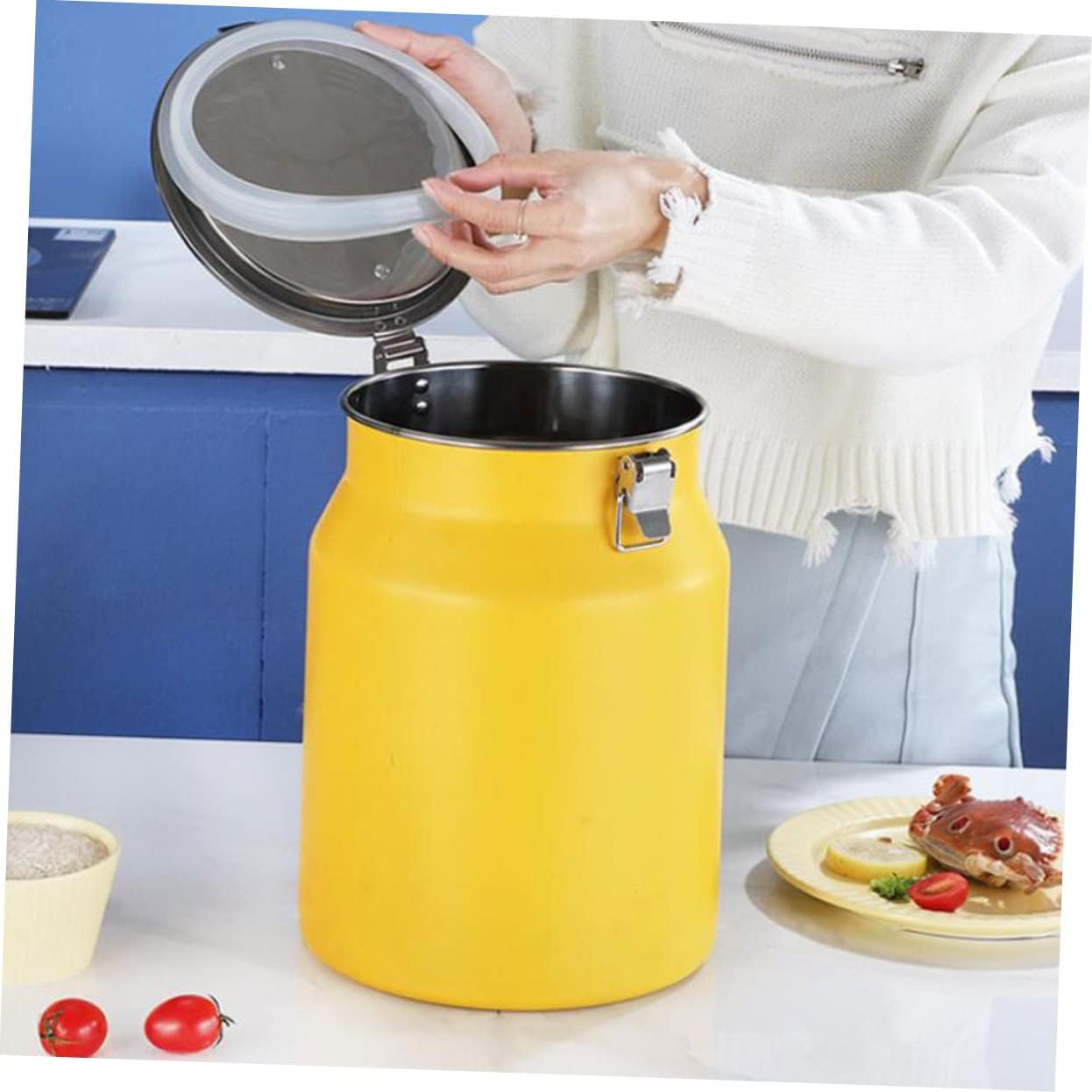 Garneck Stainless Steel Rice Storage Bucket Airtight Flour and Grain Container for Home Kitchen Food Storage Bin with Smooth Rounded Edges for Safe Handling and Long Term Use