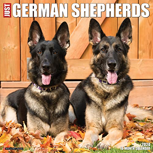 Just German Shepherds 2024 Wandkalender