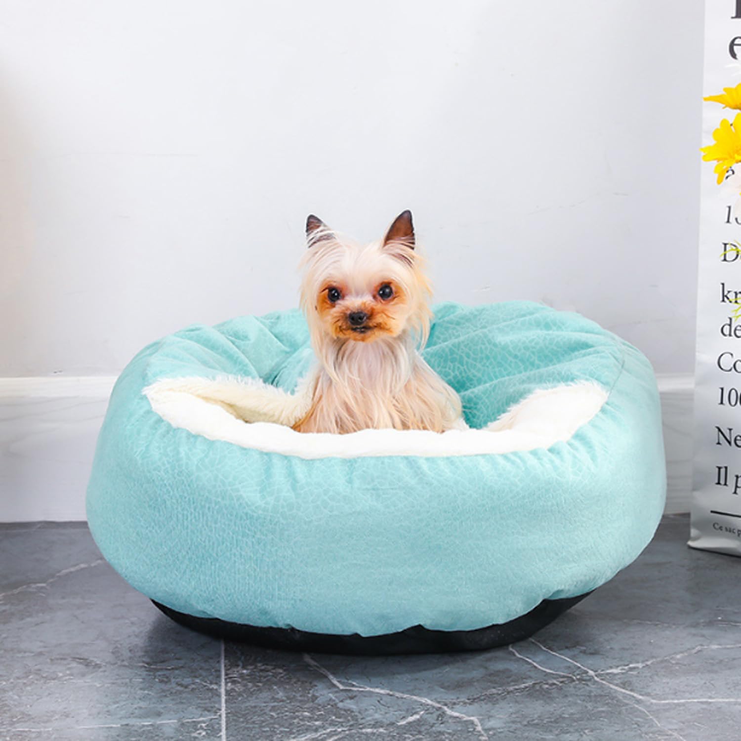 Katzenbett Oval – Super Weich, Waschbar, Mit Rutschfester Unterseite, Für Katzen & Kleine Hunde