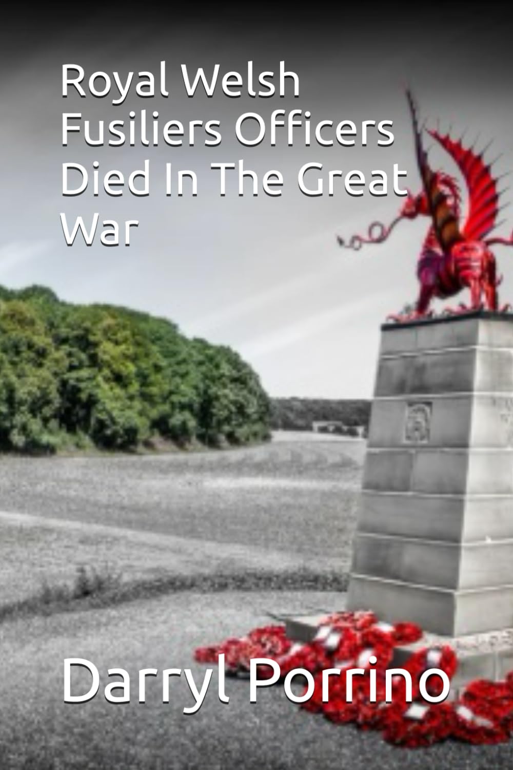 Royal Welsh Fusiliers Officers Died In The Great War