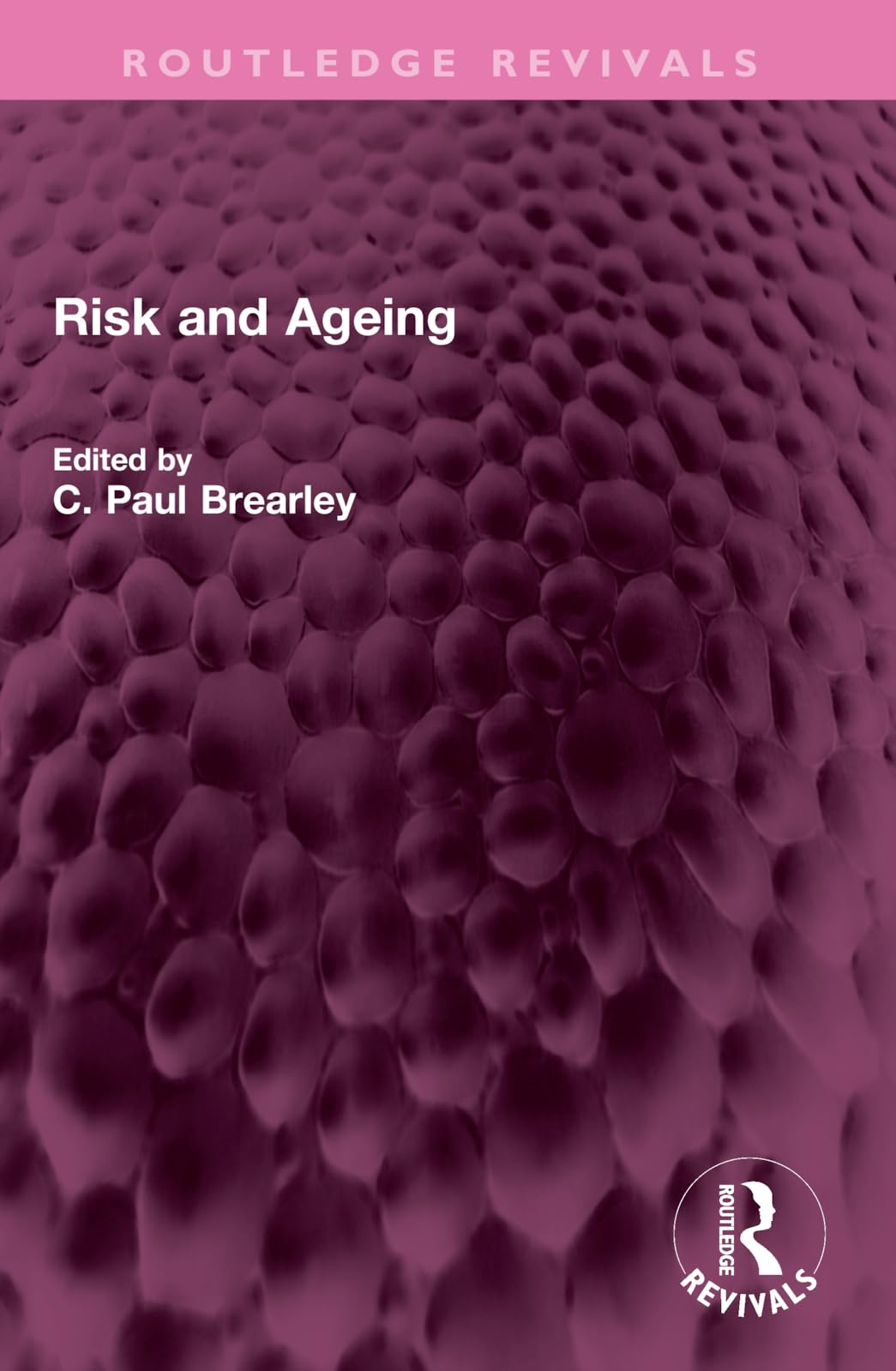 Risk and Ageing (Routledge Revivals)