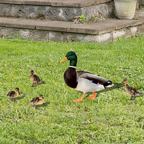 Wild Duck Acrylic Animal Stakes, Set Of 5 Wild Duck Animal Acrylic Stakes For Yards, Wild Duck Garden Art Yard Art Garden Decorative Wild Duck Craft Silhouette For Yards, Gardens Spring Decor #TOP3