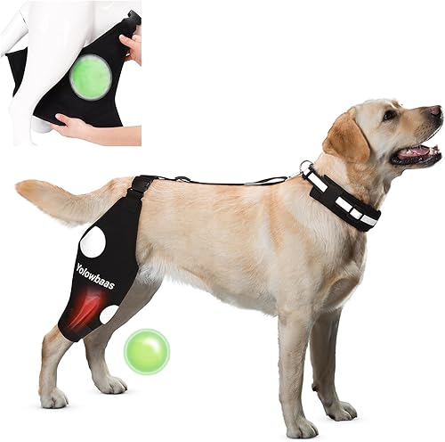 Rodillera para perro para desgarro de ACL para piernas traseras con compresa calientefría, soporte ajustable para cadera de perro para desgarro de