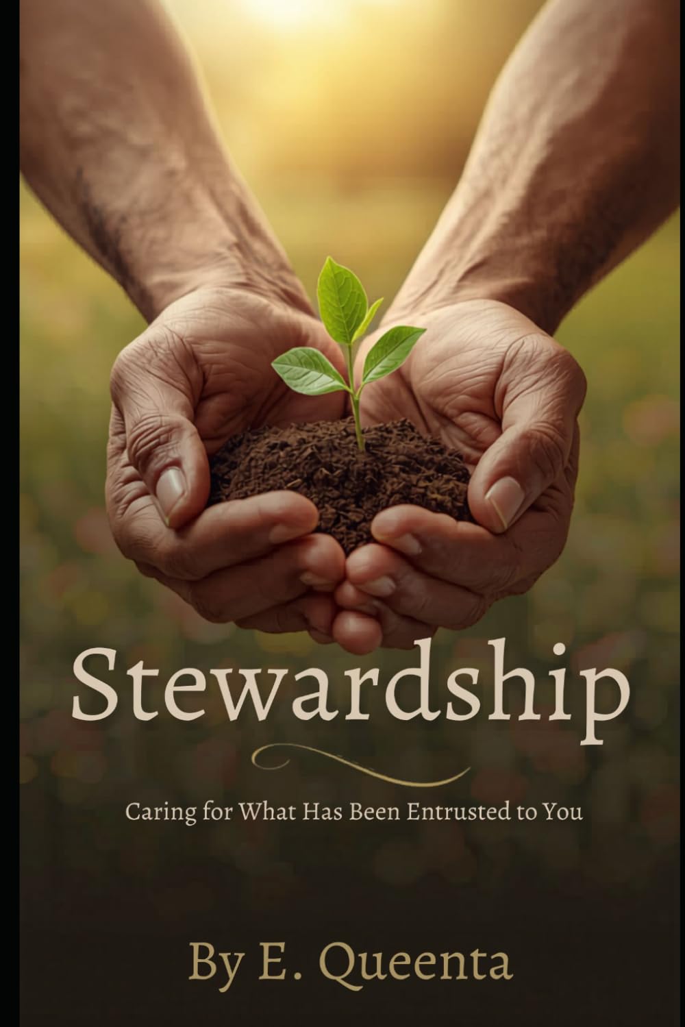 Stewardship: Caring for What Has Been Entrusted to You
