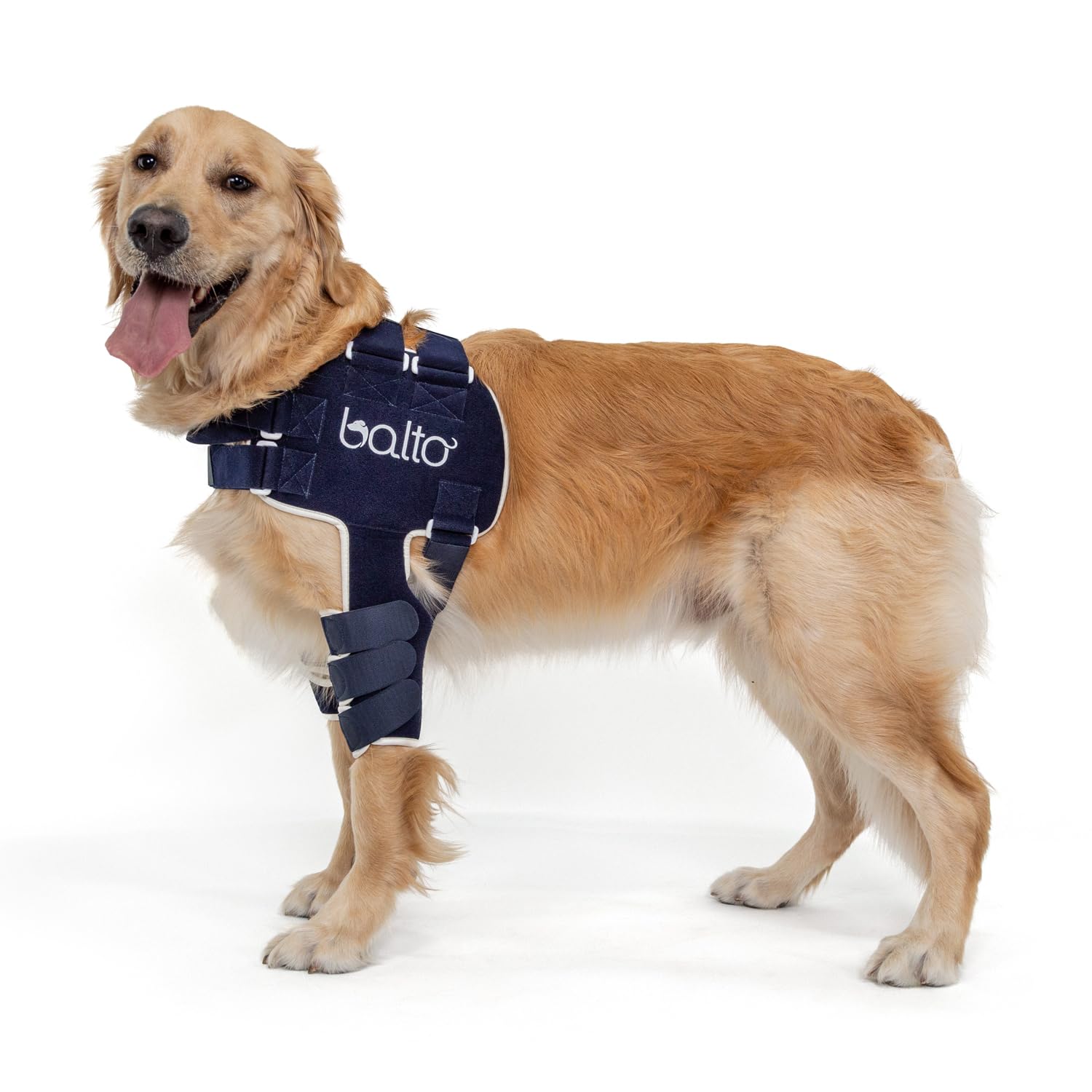 Balto Lux Adjustable Dog Shoulder Brace – Shoulder Brace – Support Shoulder dysplasia – Post Surgical Support or Surgical Alternative (Extra Extra