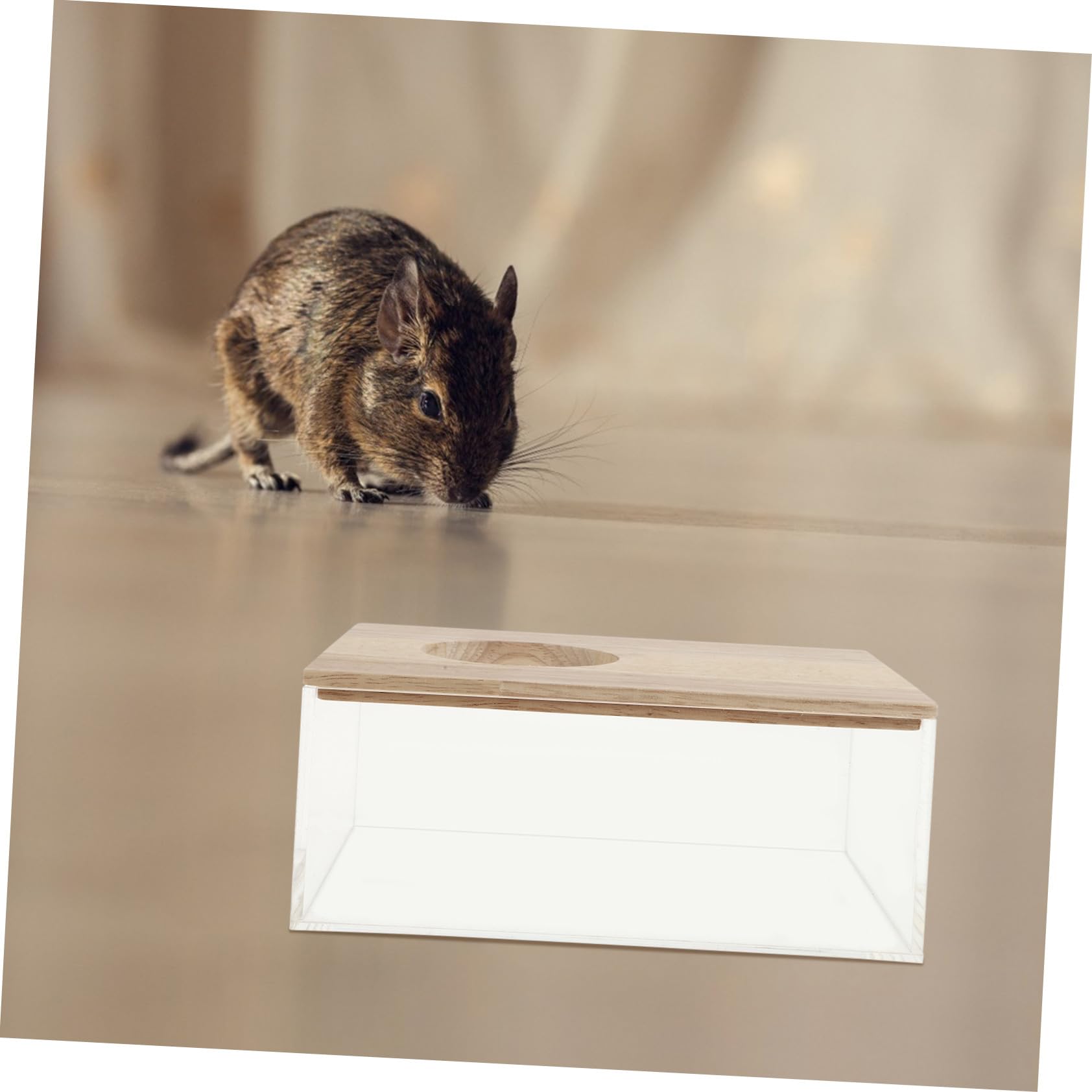 KOMBIUDA Transparente Multifunktions Sandbadbox aus Acryl und Holz für Hamster Dekorative Hamster Badewanne für Zuhause und Sichere Sandbäder