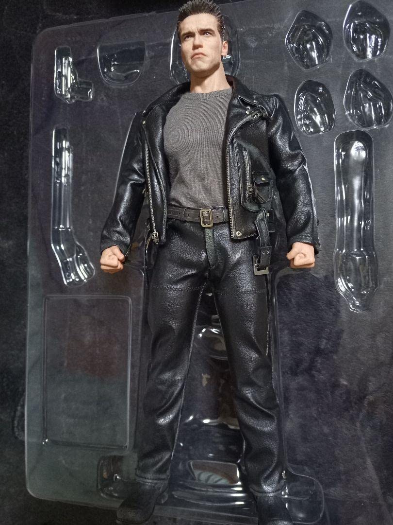 Amazon.co.jp: ホットトイズ HOTTOYS ターミネーター2 T-800 16シュワ