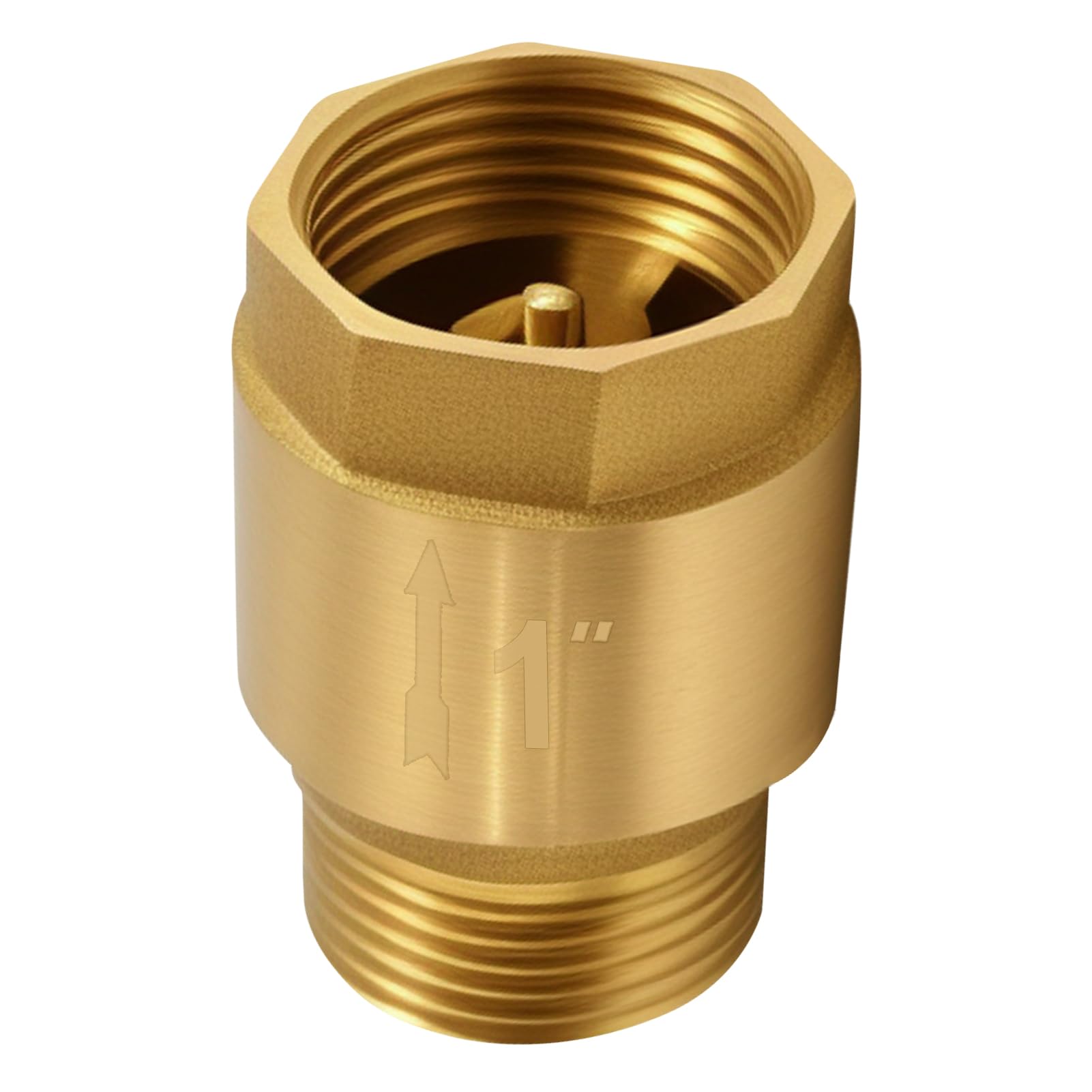 Clapet anti-retour en laiton 2,54 cm, clapet anti-retour 1 pouce AG vers IG, valve de retour 1", inoxydable et étanche pour pompe, jardin, machine à laver, tonneau