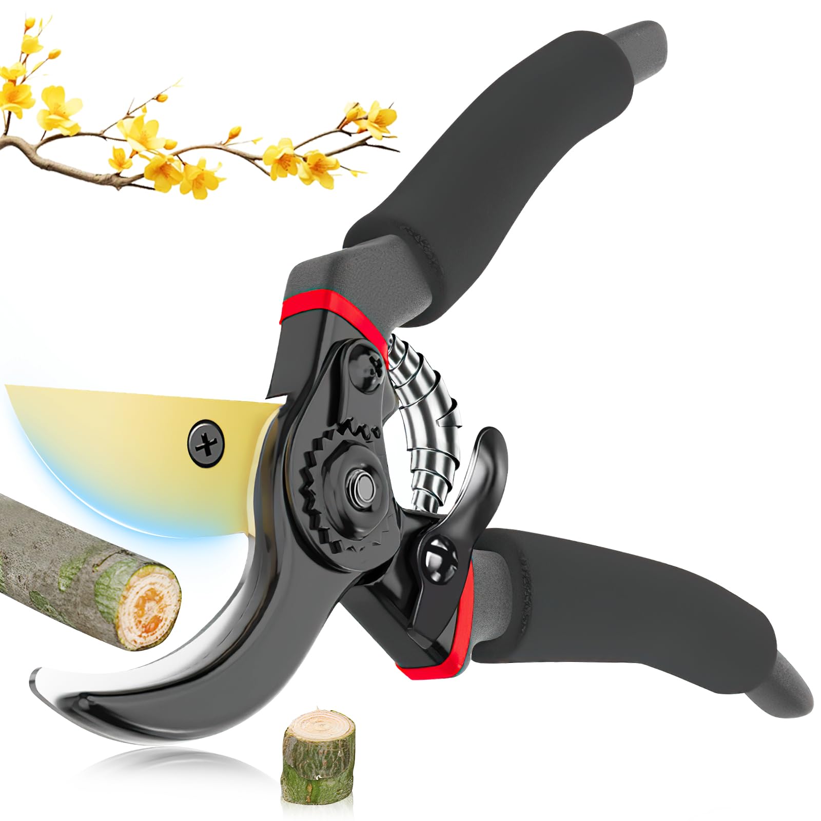 BELLOTA Renaissance RLR-01