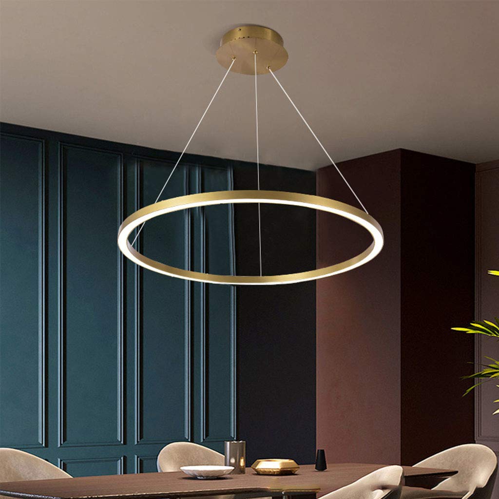 FUMIMID LED Pendant Light Living Room Lamp Chandelier Dimmable with Remote Control Pendant Lights Modern Dining Table Lamps Aluminum Round Acrylic Lighting Ceiling Fixture,Gold,1lap 60cm