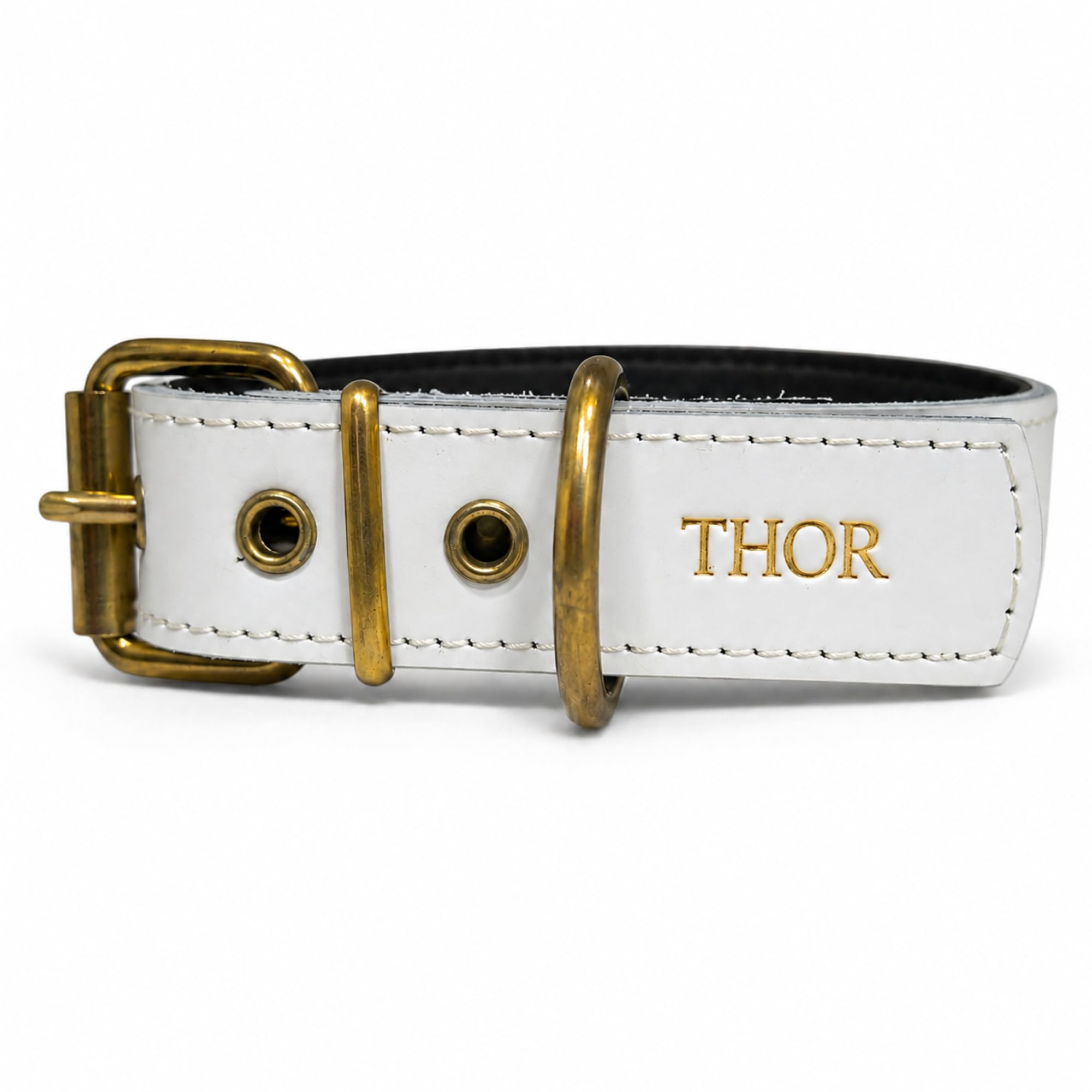 PaseaTuMascota Personalised Padded Leather Dog Collar with Name – Collar for Large, Medium and Small Dogs – Handmade in Spain – Strong and Stylish (White, S – Neck range: 28–38 cm)