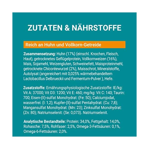 PURINA ONE BIFENSIS Adult Katzentrockenfutter: reich an Huhn, stärkt natürliche Abwehrkräfte, für gesunde Knochen, Haut, Zähne & Harnwege I ab 1 Jahr – Bild 12