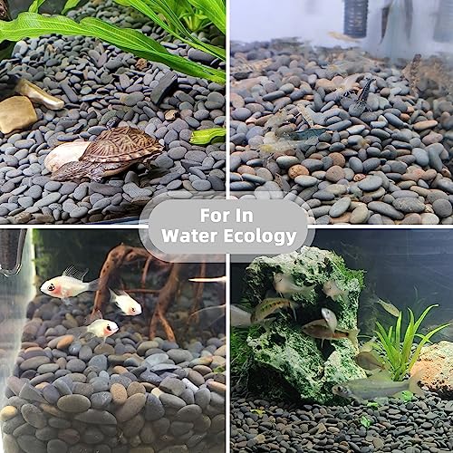Image of 18lb Small Smooth River Rocks Pebbles for Plants & Succulents, Decorative Outdoor Landscaping Garden Rocks, Natural Mexican Beach Pebbles, Gravel for Aquarium, Fish Tanks, Vase and Yard Decor