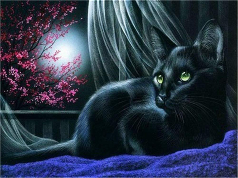 DIY 5D Diamant Peinture Kits Chat Noir Plein Forage Cristal Strass Image Arts Artisanat Point De Croix Broderie Toile Diamond Painting Pour La Maison Décoration Murale Cadeau Round Drill 40x50cm R992
