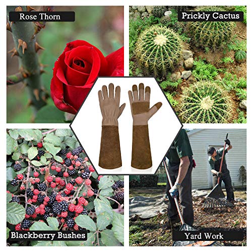 HANDLANDY-Long-Gardening-Gloves-for-Men-Women-Cowhide-Leather-Rose-Pruning-Gloves-Breathable-Durable-Gauntlet-Gloves-Medium-Brown