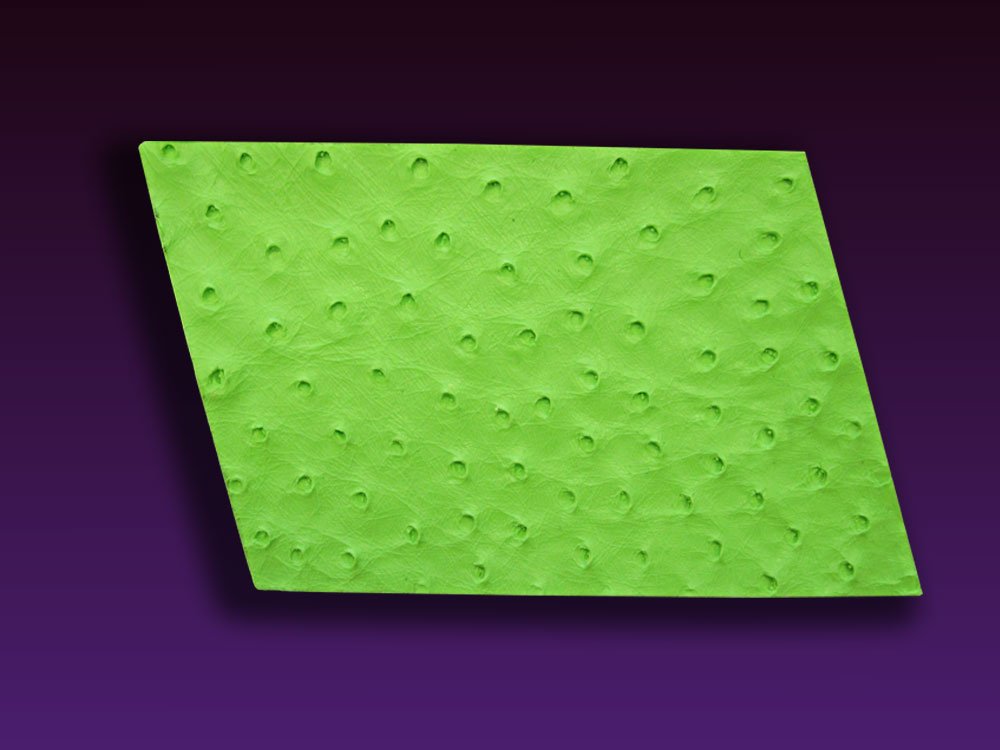 Ostrich Impression Mat by Elisa Strauss